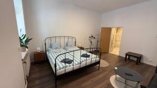 LUXURY City Bratislava Apartment - 7