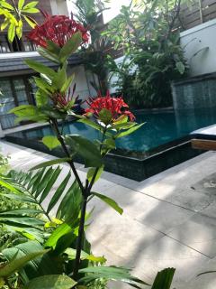 Villa Mudha 3 Sanur - Sanur - 5