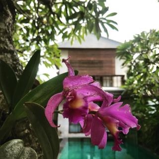 Villa Mudha 3 Sanur - Sanur - 6