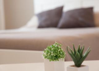 Bianco Sale Trapani - 9