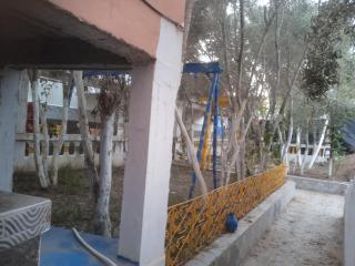 Tamraght banana house - 5