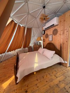 Skyla Glamping - 6