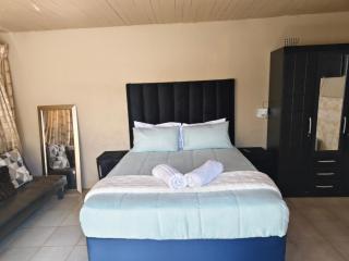 Happy Fins - Johannesburg - 1