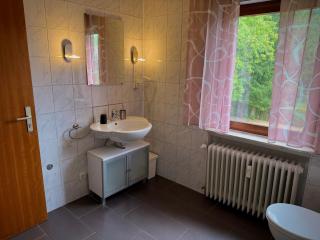 Frankenstube - 1