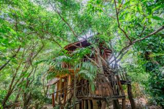 Dudley Nature Resort - 5