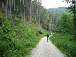 Srub Javorná - apartmány Šumava - Javorná - 1