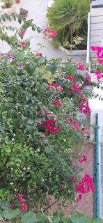 EDEN HOUSE - 3