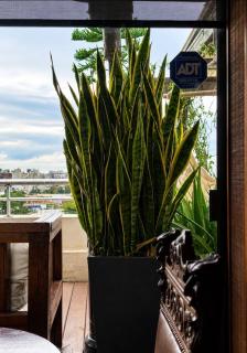 Luxury penthouse in Pocitos, large terrace and jacuzzi - 1