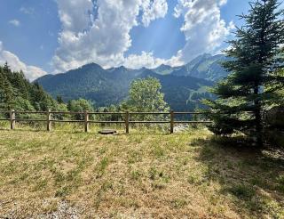 Chalet 4 Jillou - Jacuzzi panorama alpin - 5