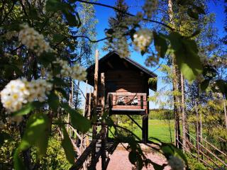 Luomajärven Hevoskievari - 7