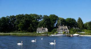 Schleibungalow Nr15 zw Ostsee und Schlei - 4