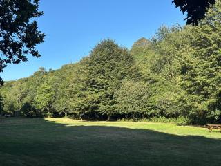 Buttercombe Meadow Campsite and Venue - 1