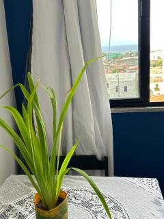 Salvador Backpackers House - 3