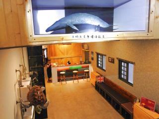 True-FDs Inn - 1