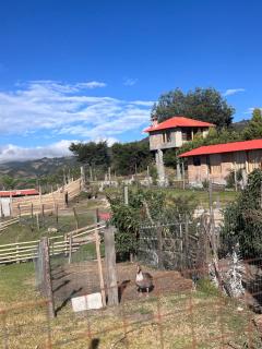Refugio del Venado - 9