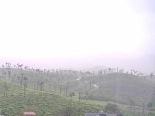 Laxshimi homestay - 2