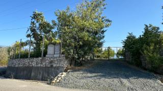 Perlat Orchard Camping - 3