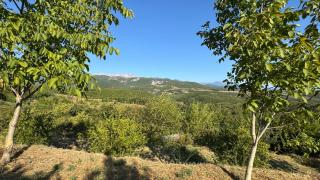 Perlat Orchard Camping - 2