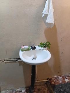 Iguana House - 5