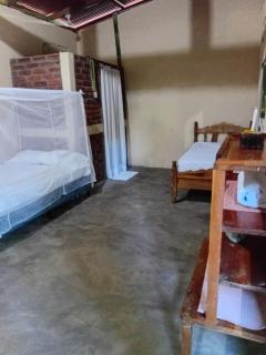 Iguana House - 0