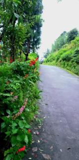 Purbasha Hillstay, Dukavally waterfalls, Tendrabong - 4