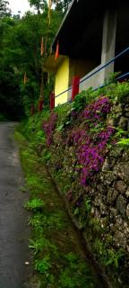 Purbasha Hillstay, Dukavally waterfalls, Tendrabong - 1
