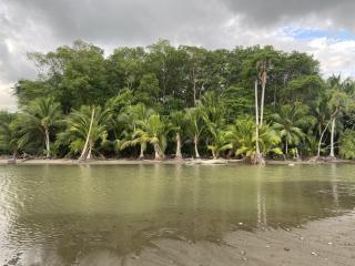 Studio confort Uvita - 5