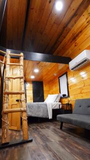 Black Bear Cabin- Woodland retreat near Red River Gorge - 6