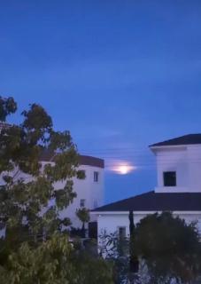 Nipas view - 3