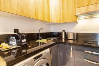 Washingtonia Palm - Casablanca Center - 2