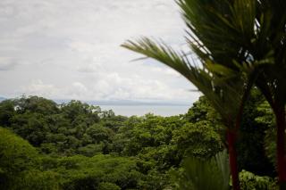 Puravidovo, ocean view, hill side - 6