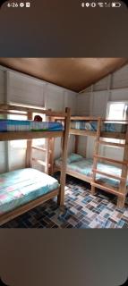 Tropic Tikis Hostel - 3