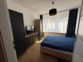 Apartament Dąbrowszczaków - 3