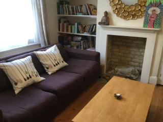 Victorian Period Central Home - 2