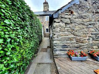 Cosy Bala House - 9