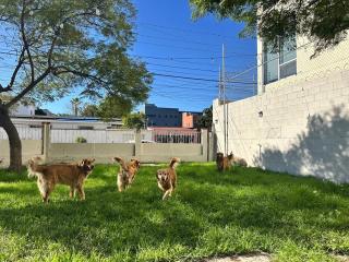 Home with lawn Pet friendly Zona Dorada Tijuana - 0