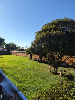 Manjericão - 9