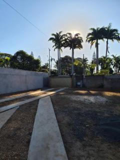 Manjericão - 2