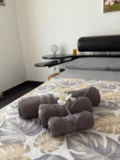Rossani House - 6
