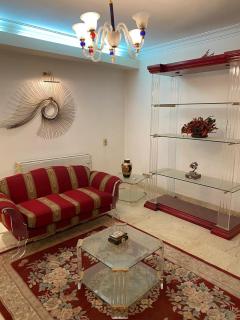 Luxurious Appartment in Nasr City - 5
