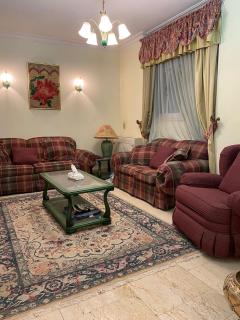 Luxurious Appartment in Nasr City - 2