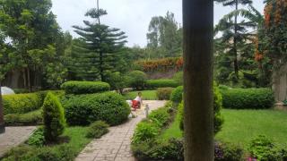Beautiful home with a garden in Bishoftu - Long term rentals preferred - 0