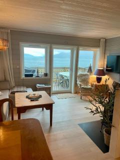 Cabin close to the lake in idyllic surroundings - 0