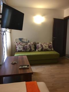 Apartments and Rooms Villa Gaga 3 - Budva - 7