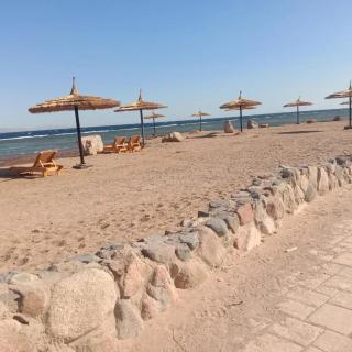 Nadira Beach Furnished Unit Ground Floor - 5