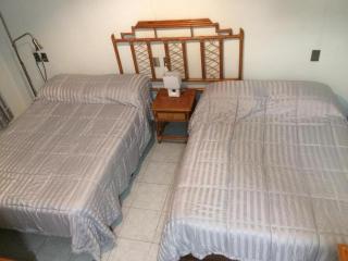 Departamento Acámbaro Céntrico Confortable - 3