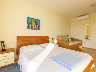 Comfort One Bedroom Apartment with Sea View and Terrace - 7