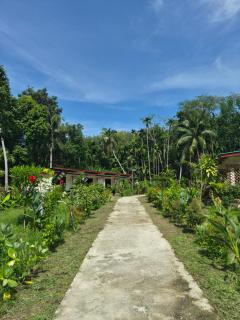 Kohmook Timberland Resort from Seaview - 4