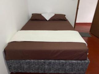 Chamspring Ella - 6