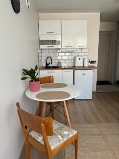 Compact holiday apartment near the heart of Viljandi - 1